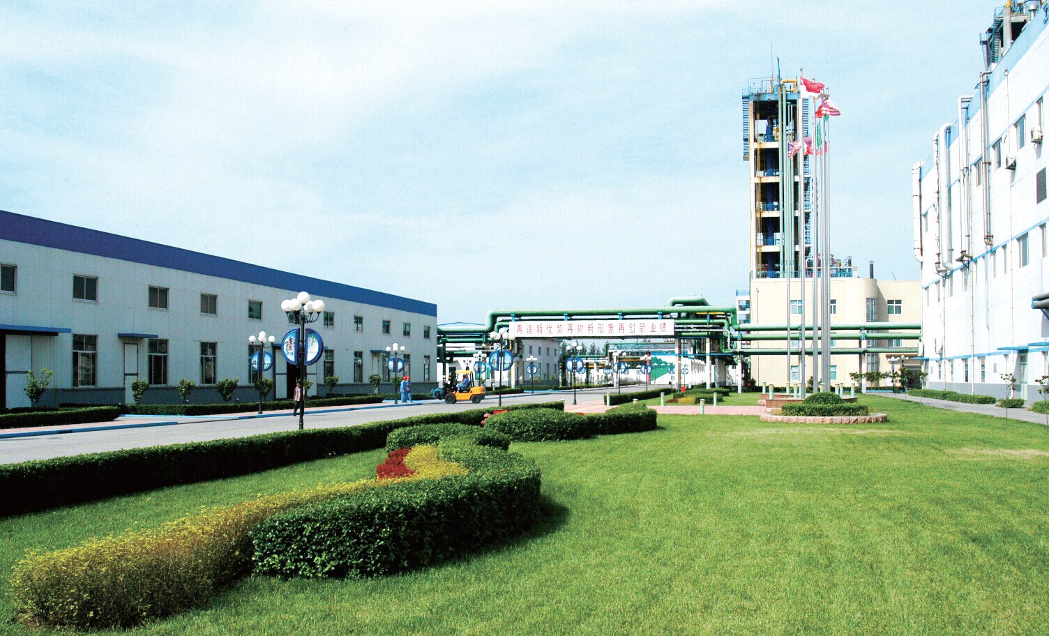 東岳高分子材料公司廠區(qū)